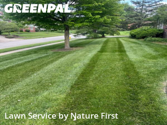 Lawn Care nearby Carmel, IN, 