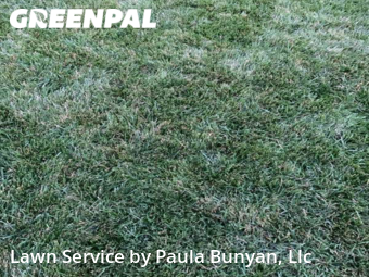 Lawn Cutting nearby Papillion, NE, 