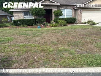Grass Cut nearby Jacksonville, FL, 