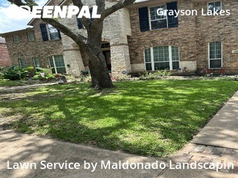 Lawn Service nearby Katy, TX, 