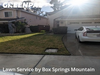Lawn Cut nearby Riverside, CA, 