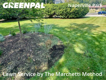 Lawn Cut nearby Plainfield, IL, 