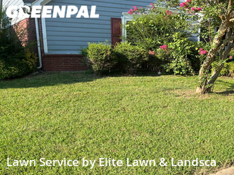 Lawn Cut nearby Cordova, MS, 