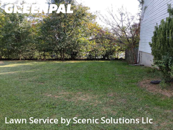 Lawn Mow nearby Baltimore, MD, 