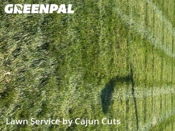 Lawn Mowing Service nearby Murfreesboro, TN, 