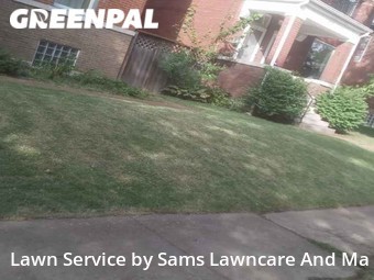 Lawn Cut nearby St. Louis, IL, 