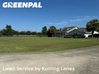 Lawn Cut nearby Gainesville, FL, 