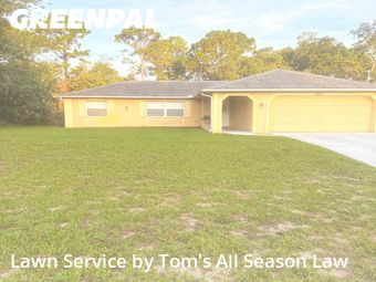 Yard Cutting nearby Spring Hill, FL, 