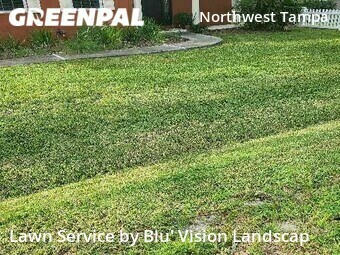 Lawn Cutting nearby Tampa, FL, 