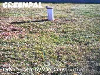 Lawn Care nearby Channahon, IL, 