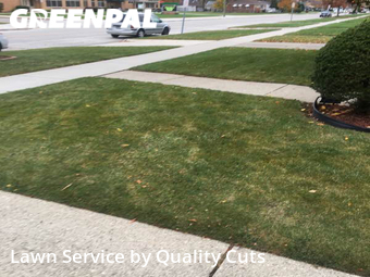 Grass Cutting nearby Eastpointe, MI, 
