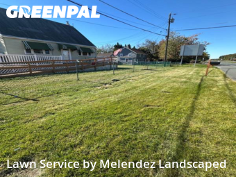 Yard Grooming in Dundalk, 21222, Front Yard Mowing by Melendez Landscaped , work completed in Nov , 2025