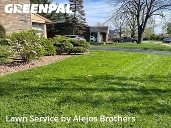 Grass Cutin Elmhurst,60126,Yard Mowing by Alejos Brothers, work completed in Jun , 2026