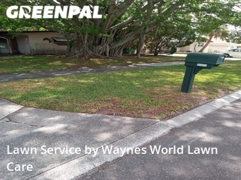 Lawn Mowing Service nearby Seminole, FL, 