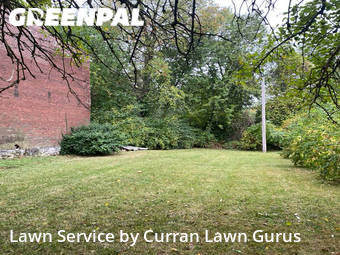 Lawn Mowing nearby St. Louis, IL, 