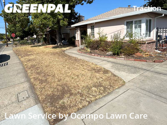 Grass Cut nearby Sacramento, CA, 