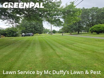 Lawn Mowing nearby Knoxville, TN, 