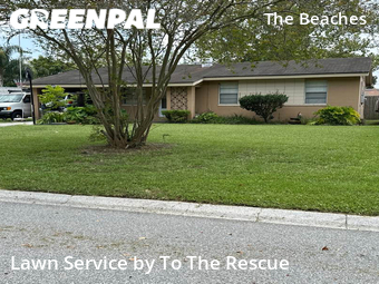 Lawn Mow nearby Jacksonville Beach, FL, 