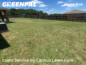 Grass Cut nearby San Antonio, TX, 