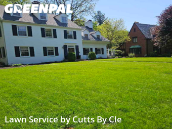 Lawn Cut nearby Toledo, OH, 