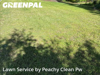 Yard Mowing nearby Hiram, GA, 