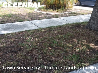 Grass Cut nearby Ruskin, FL, 