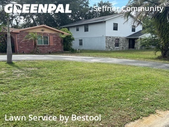 Grass Cutin Brandon,33510,Grass Cut by Bestool, work completed in Jun , 2026