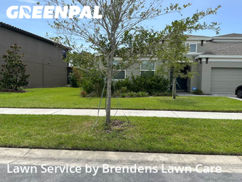 Lawn Cutting nearby Land O' Lakes, FL, 