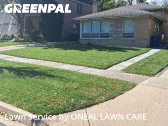 Grass Cutin Elmhurst,60126,Grass Cutting by ONEAL LAWN CARE, work completed in Nov , 2025