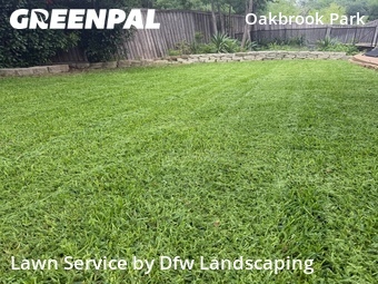 Landscaping Renovation In Frisco,75034,Landscaping by Dfw Landscaping , work completed in Jun , 2026