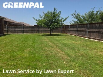 Lawn Cut nearby Aubrey, TX, 
