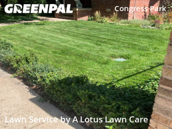 Grass Cutting nearby Denver, CO, 