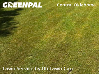 Lawn Service nearby The Village, OK, 