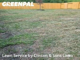 Grass Cutting nearby Converse, TX, 