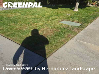 Lawn Service nearby Murrieta, CA, 