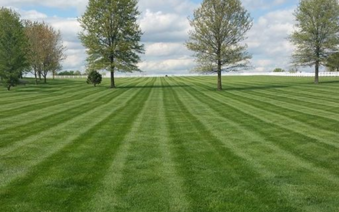 Work Image 4