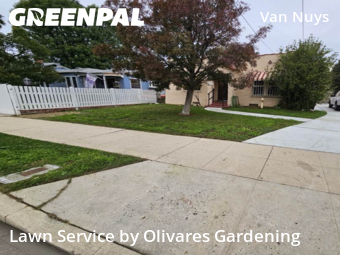 Modern Landscaping In Los Angeles,91405,Landscaping Maintenance by Olivares Gardening , work completed in Jan , 2026