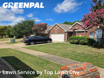 Lawn Cutin Garland,75043,Lawn Care by Top Lawn Dfw, work completed in Nov , 2025
