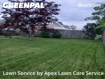 Grass Cutting nearby Pittsburgh, PA, 