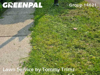 Lawn Cutting nearby Rochester, NY, 