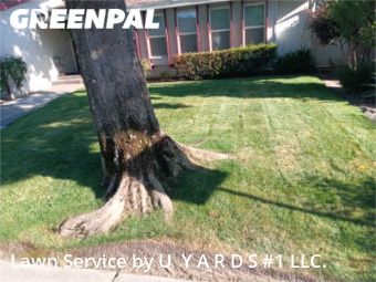 Lawn Service nearby Modesto, CA, 