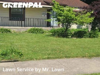 Grass Cut nearby Roseville, MI, 