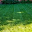 grass-cutting-businesses-in-Twin Falls-ID