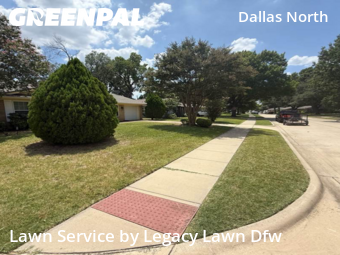 Yard Cutting nearby Plano, TX, 