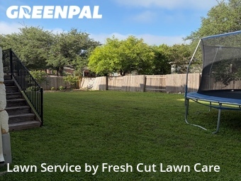 Lawn Cut nearby Cedar Park, TX, 