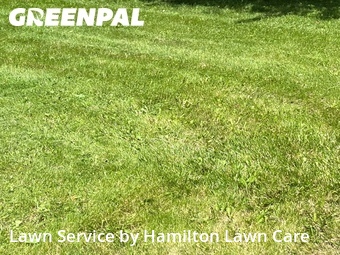 Grass Cutting nearby Fishers, IN, 