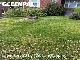 Lawn Service nearby Lynchburg, VA, 