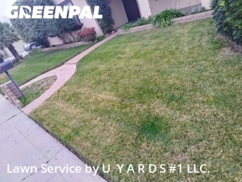 Work completed by the-yard-cutting-businesses-in-Modesto-CA