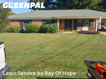 Grass Cut nearby Tuscaloosa, AL, 