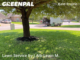 Grass Cut nearby College Station, TX, 